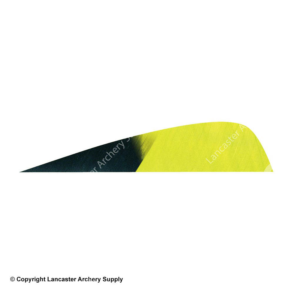 Gateway Parabolic Feathers Lemon Lime 4 In. Lw 50 Pk. - Other Gun Gateway Parabolic Feathers Lemon Lime 4 In. Lw 50 Pk. - Other Gun