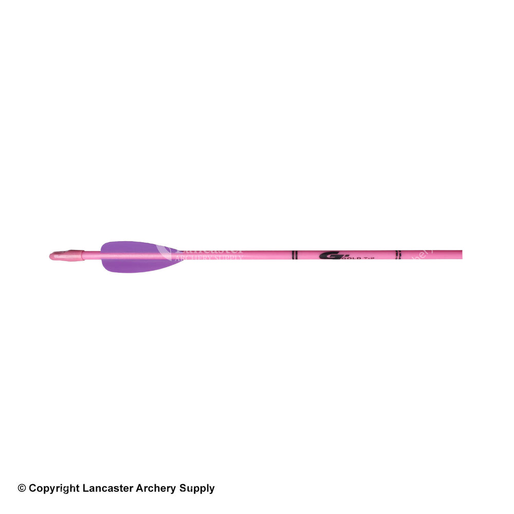 Gold Tip Pink Fiberglass Youth Arrow