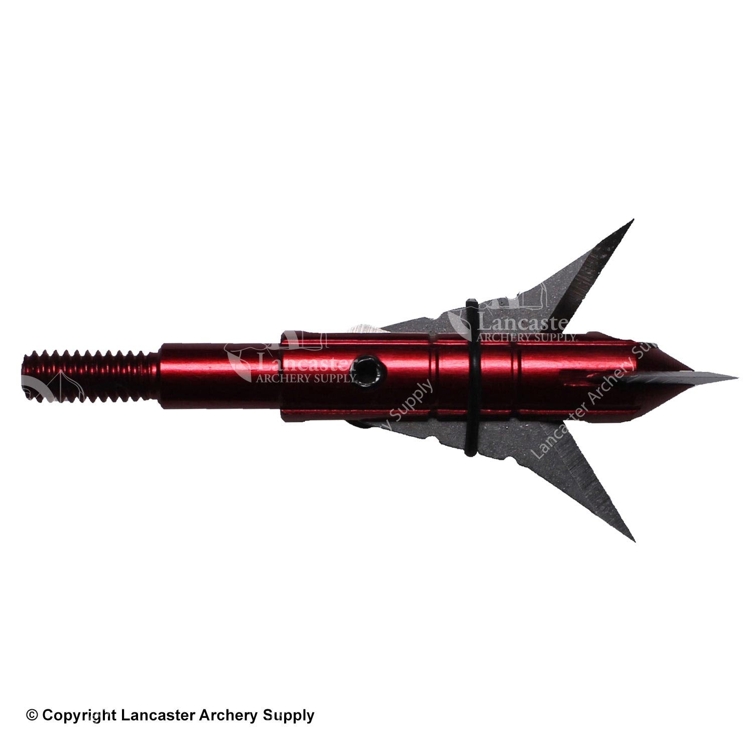 Xecutioner Xpandable Broadheads (75 gr.)