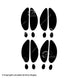 LVE Deer Tracks Decal