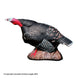 Delta McKenzie Gobbling Turkey Pro 3D Target