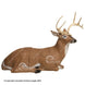 Delta McKenzie Bedded Deer Pro 3D Target