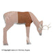 Delta McKenzie Medium Grazing Deer Pro 3D Replacement Midsection and Core