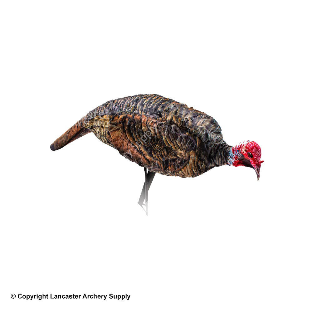 Montana Decoy Jake Purrfect XD Turkey Decoy