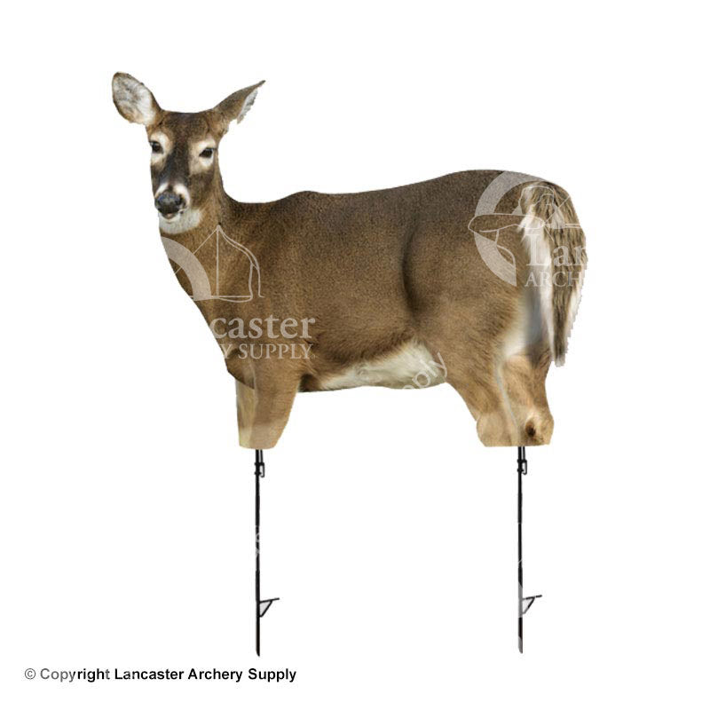 Montana Decoy Trixie Whitetail Doe Decoy