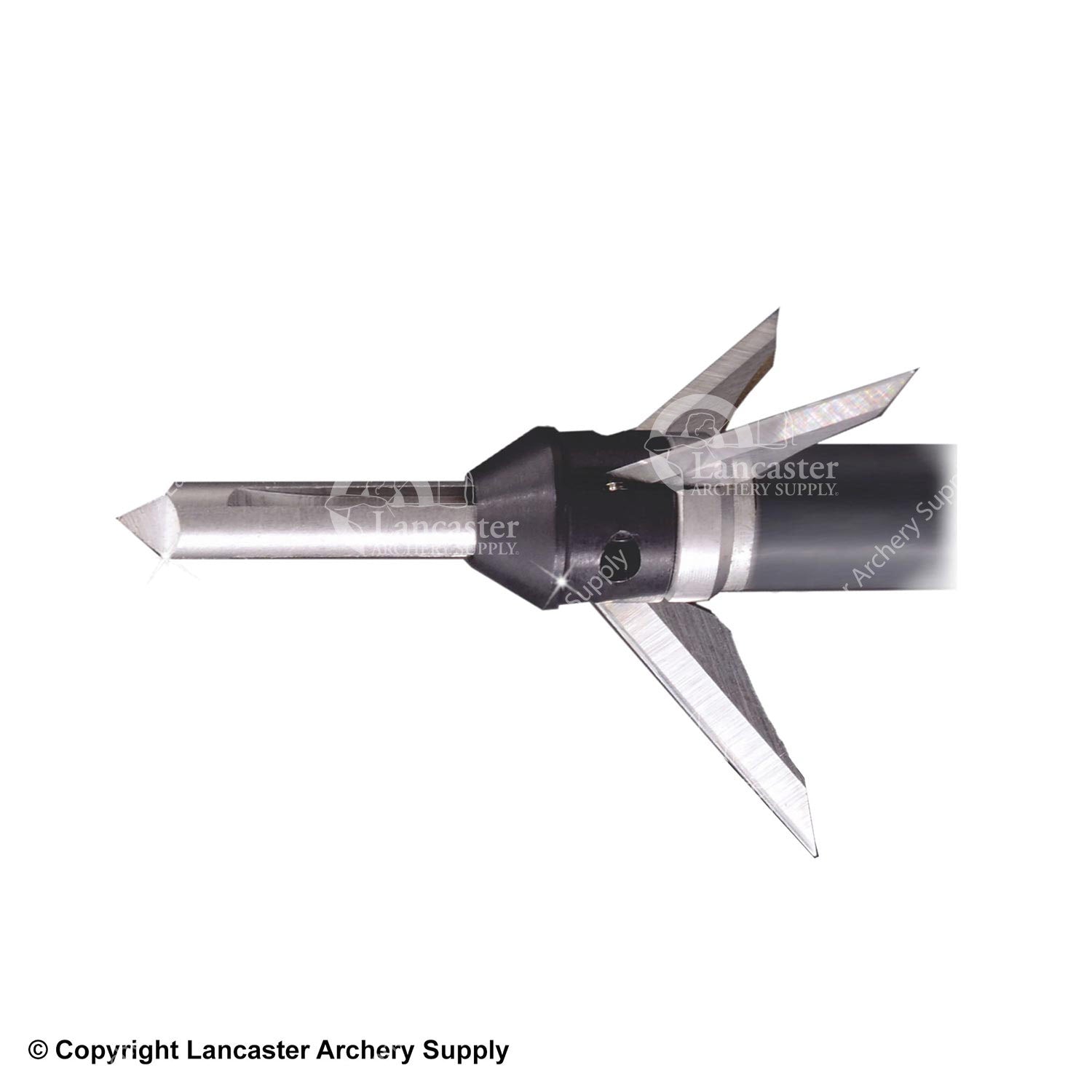 Innerloc Carnage 100 gr. Broadheads Lancaster Archery Supply