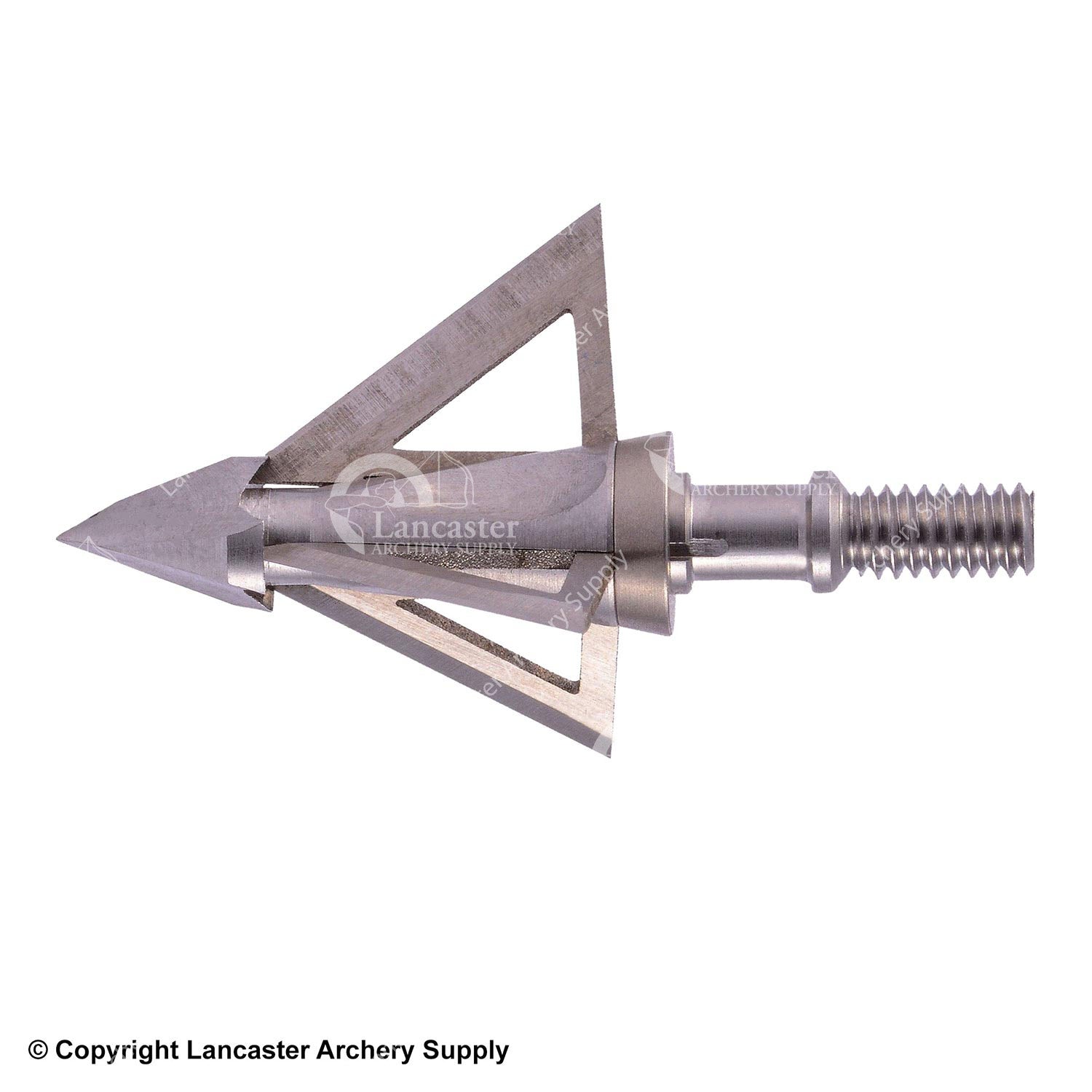 Wasp Mortem Broadhead