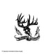 Outdoor Decals - Born to Hunt