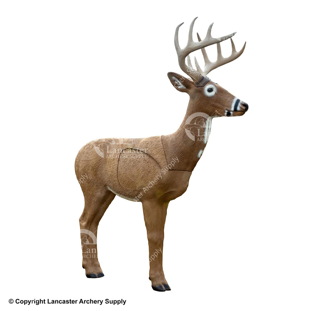 Rinehart Woodland Jimmy Big Tine Target