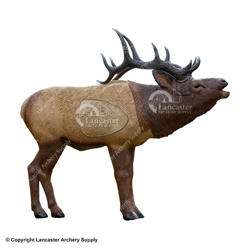 Rinehart 1/3 Scale Woodland Elk Target