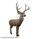 Rinehart Woodland Mulie 3D Target