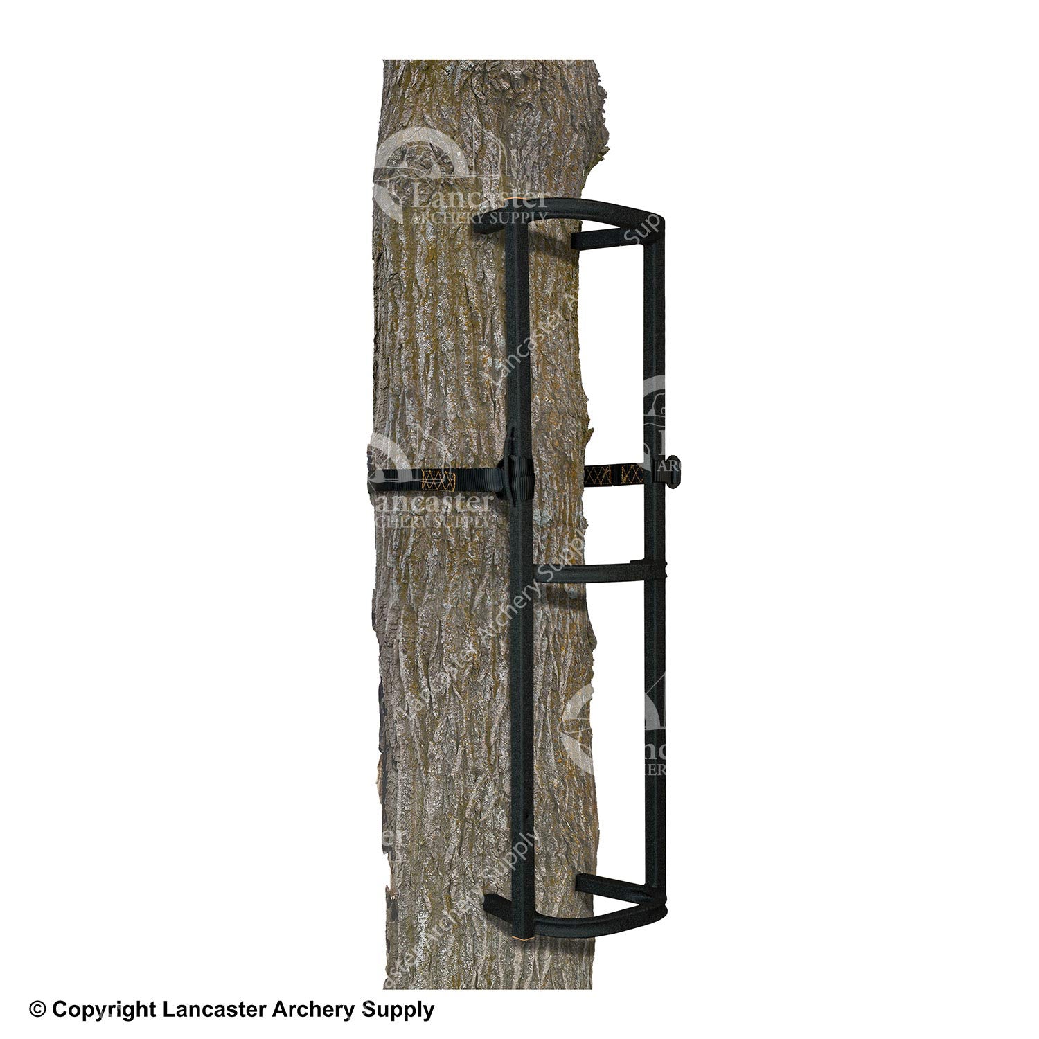Muddy Stagger-Step Climbing System (1 Section)