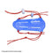 Atc banner alt text