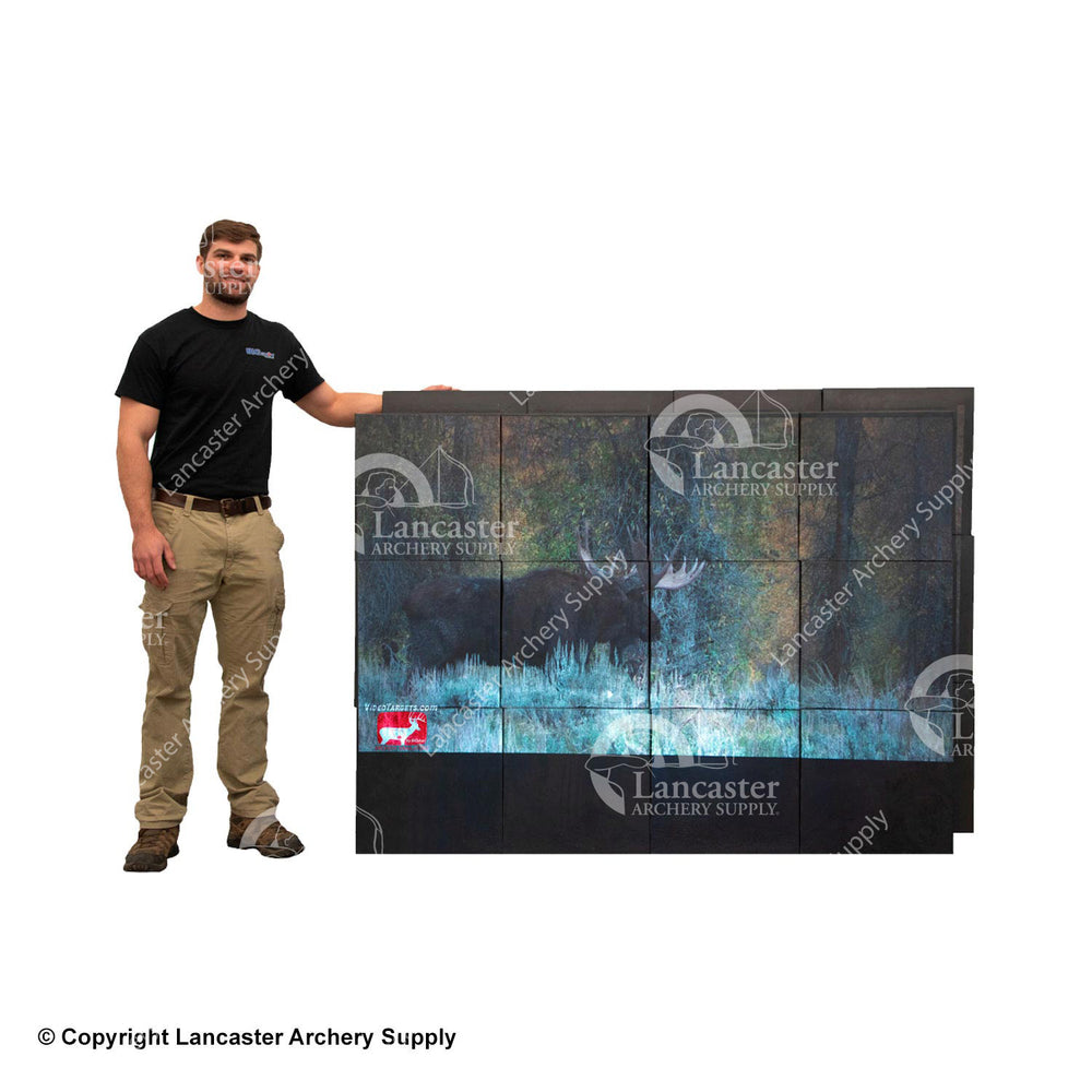 Bigshot Personal Video Wall (4' x 6')