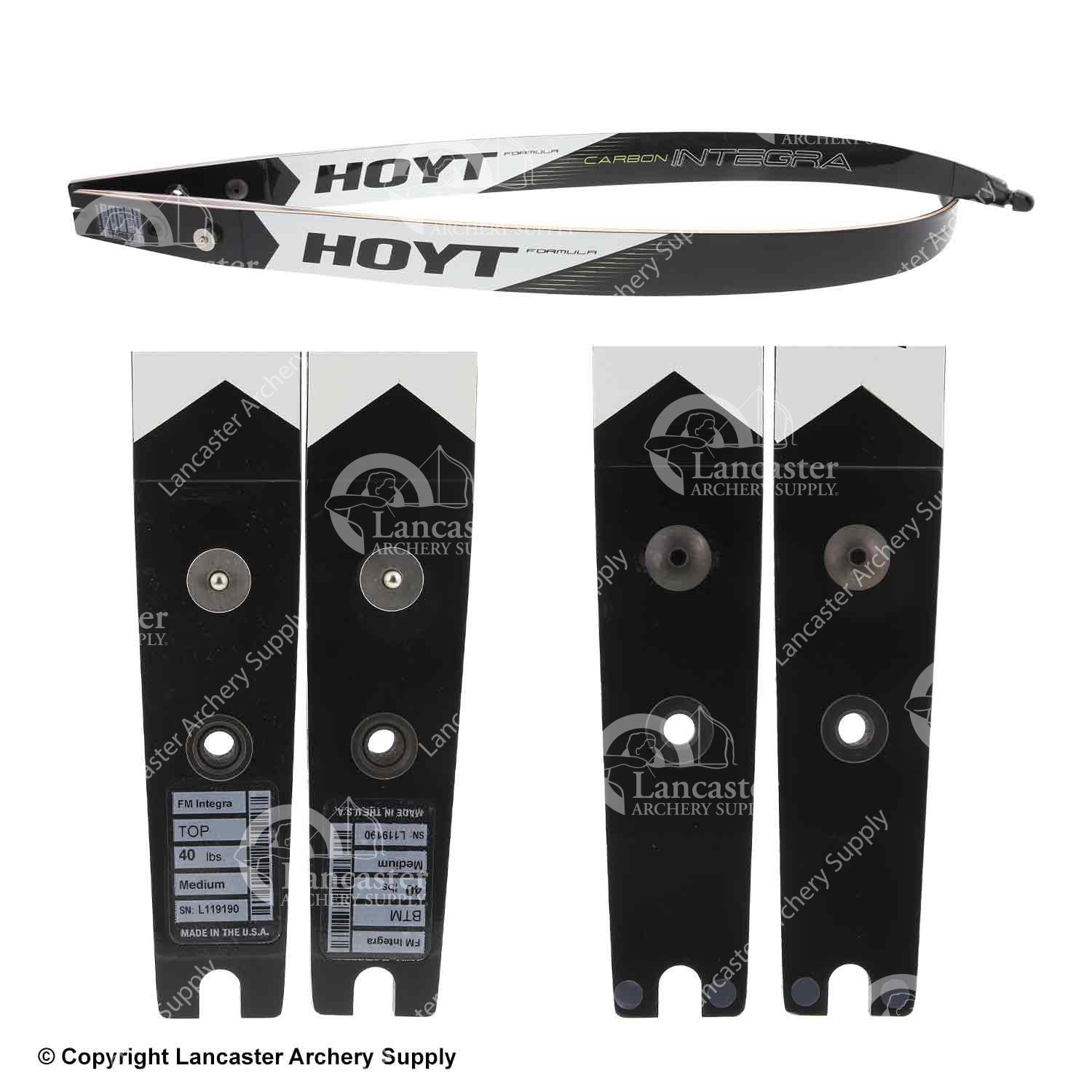 Hoyt Carbon Integra Formula Target Recurve Limb (Open Box X1030128)