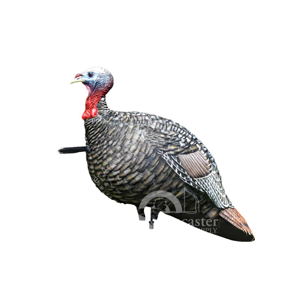Avian-X LCD Jake Quarter Strut Turkey Decoy