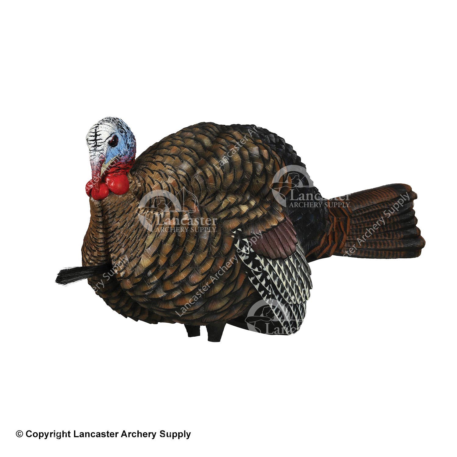 AvianX LCD Jake 1/2 Strut Turkey Decoy Lancaster Archery Supply