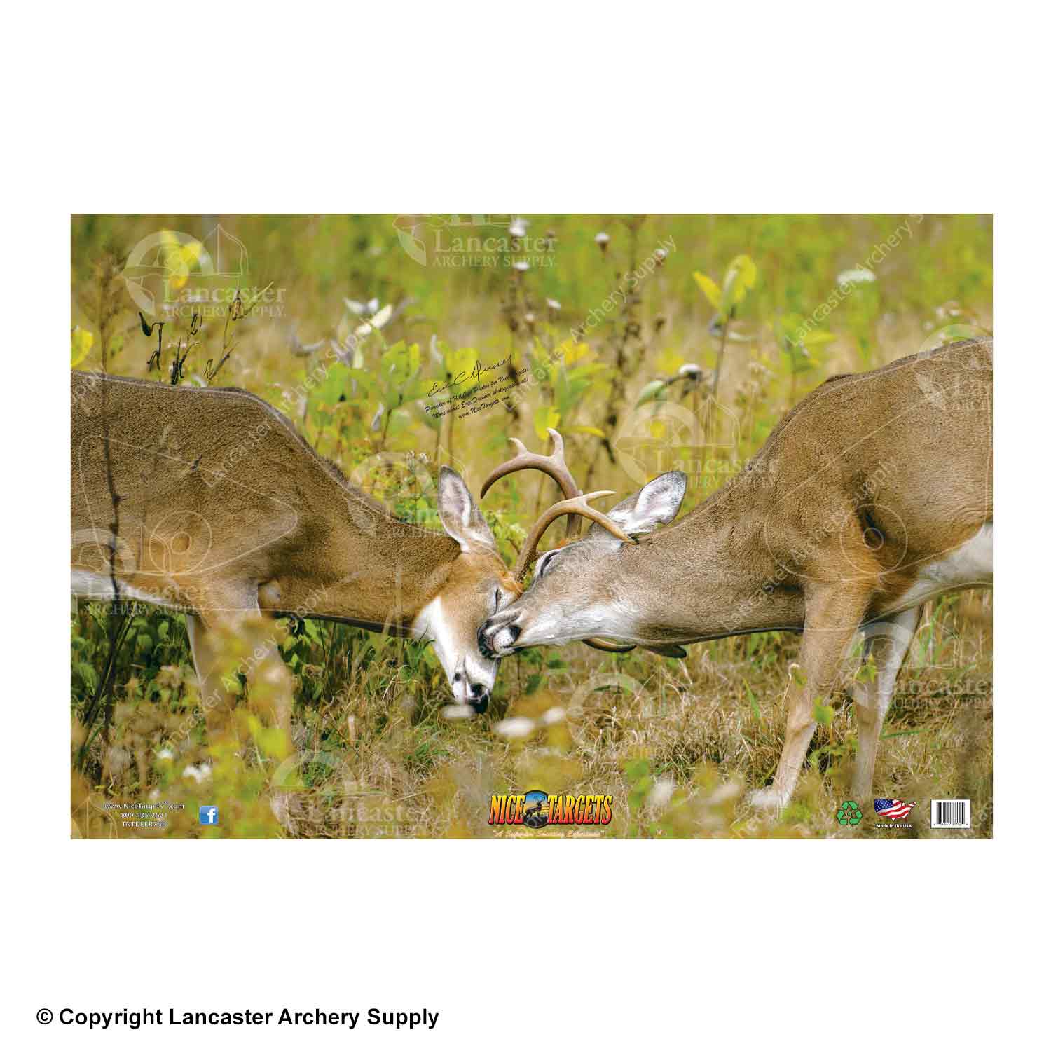NiceTargets Deer Targets