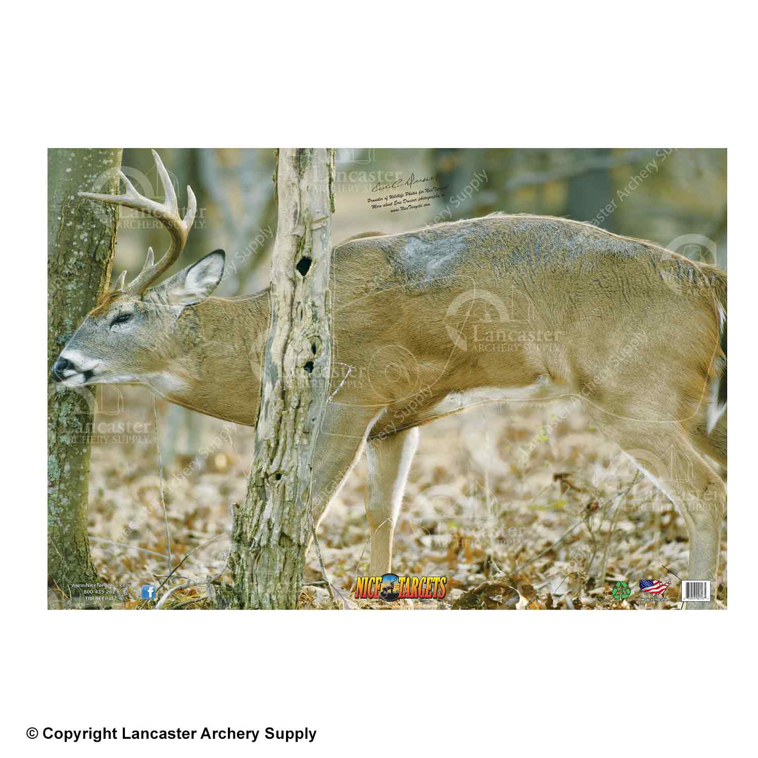 NiceTargets Deer Targets