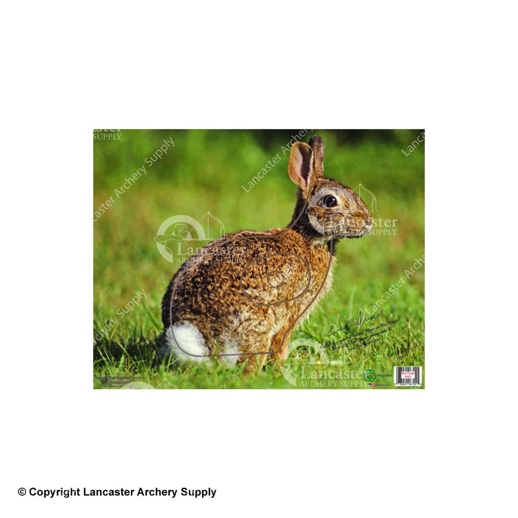 NiceTargets Rabbit Target – Lancaster Archery Supply