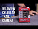 Wildview Relay Cellular Trail Camera