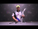 Bee Stinger V-Bar Elite